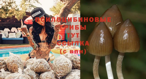 кристаллы Заводоуковск